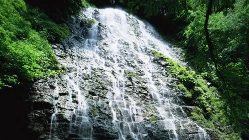 节能高标准先进